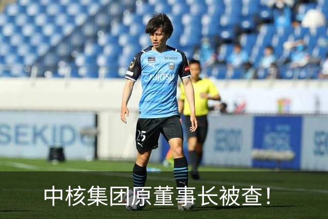 中核集团原董事长被查！