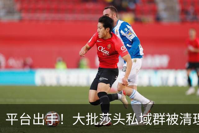 平台出手！大批莎头私域群被清理，饭圈乱象整治，全网纷纷叫好