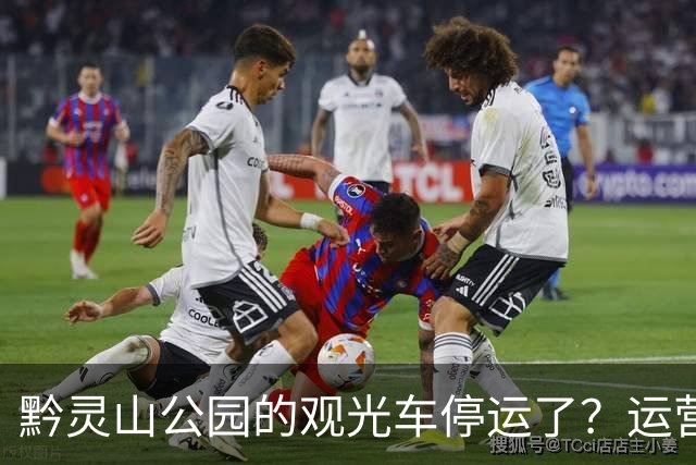 黔灵山公园的观光车停运了？运营公司回应